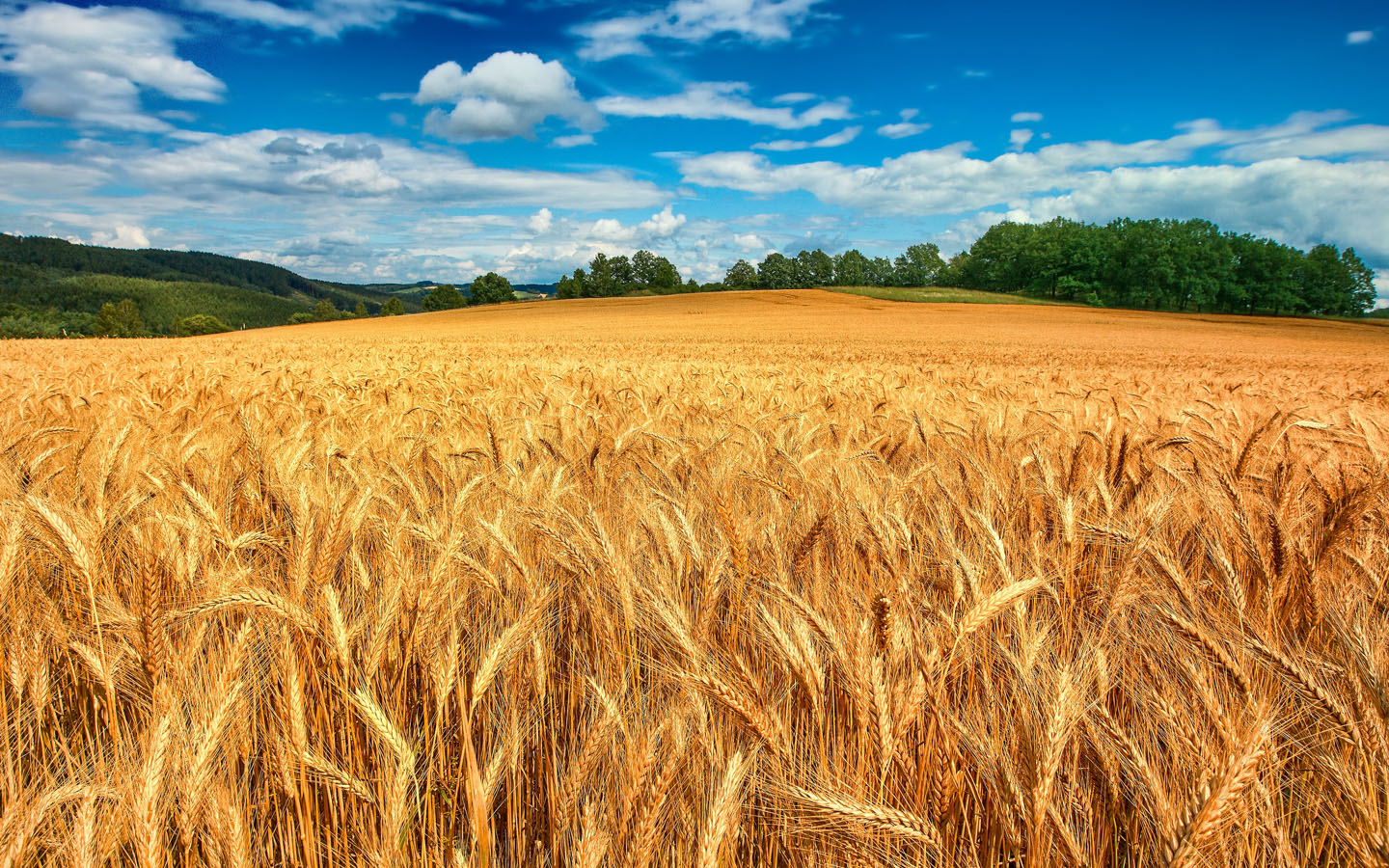 Farm Holidays Umbria