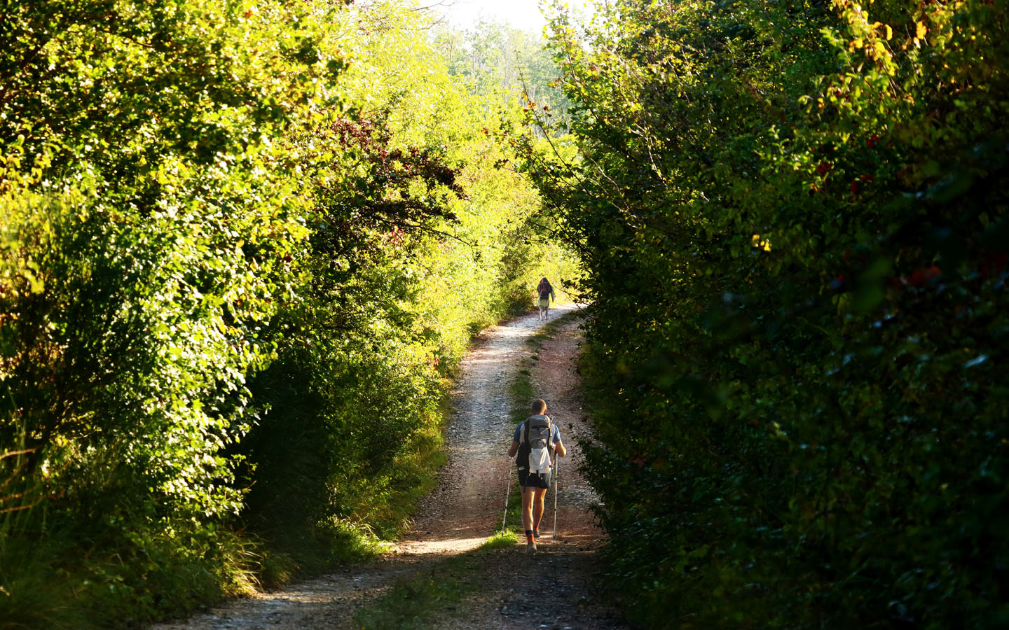 Farm holidays Umbria