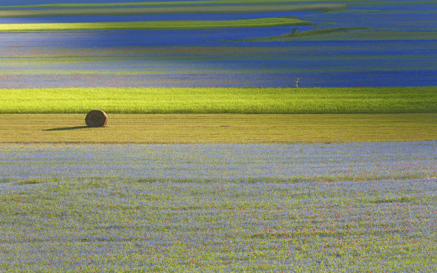 Agriturismo in Umbria