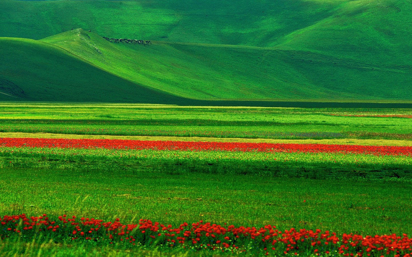 Agriturismo in Umbria