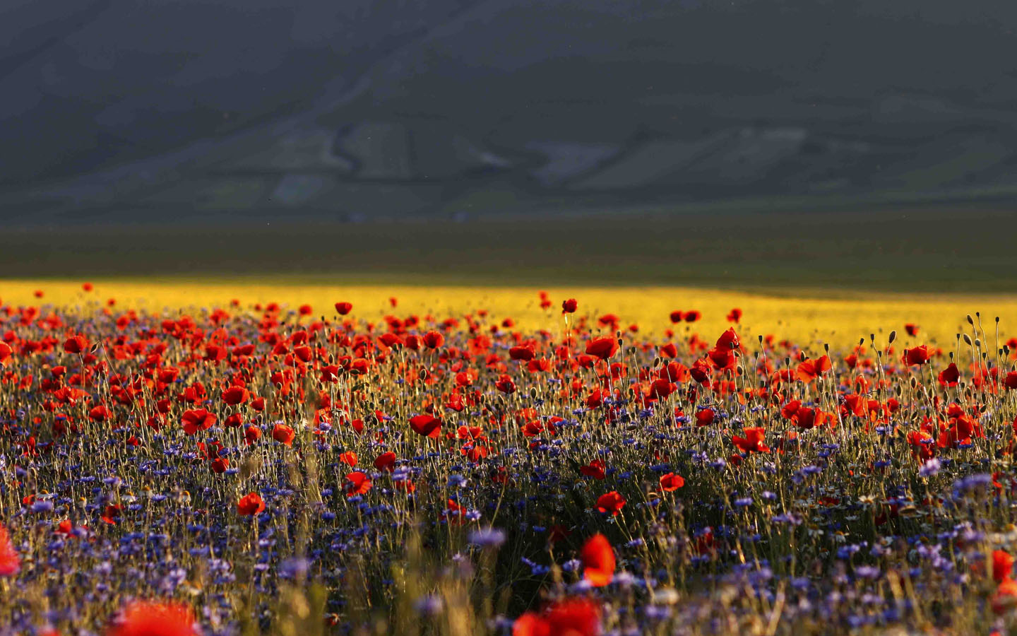 Nature and landscapes 